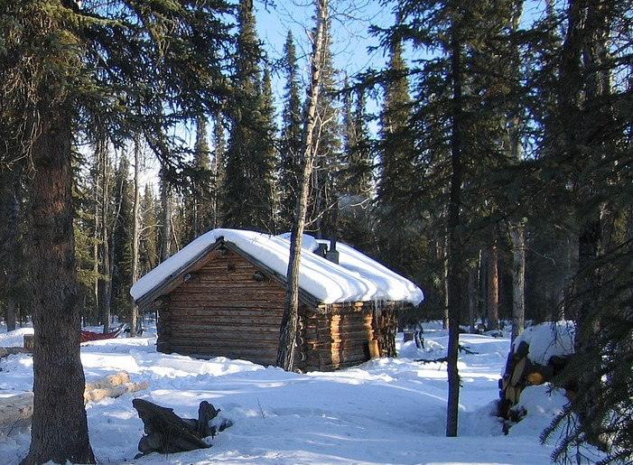 Cabane en rondin