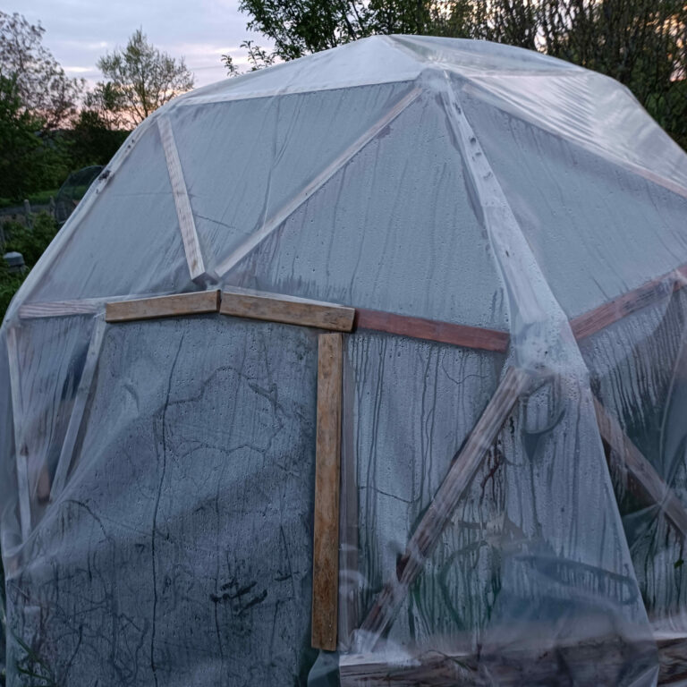 Ma serre en bois sans permis de construire qui résiste aux tempêtes