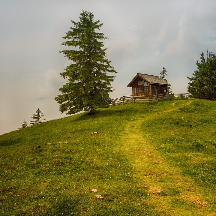 Le chalet en bois de vos rêves ?